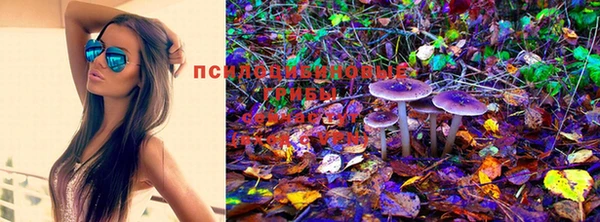mix Алексин