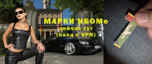 тгк Алзамай