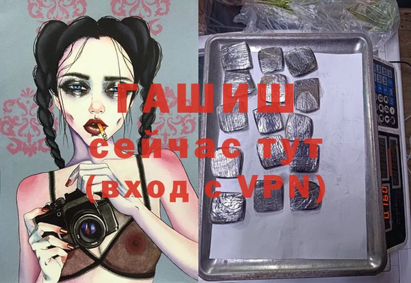 тгк Алзамай