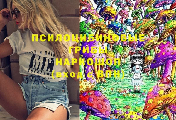 соль ск Новодвинск
