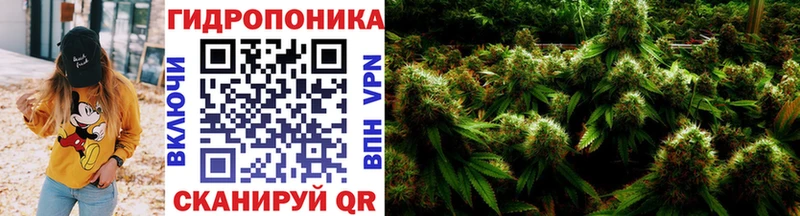 Каннабис White Widow  Алексеевка 